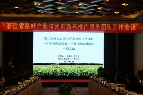 浙江省茶葉產業技術創新與推廣服務團隊工作會議在杭舉行 凝聚智慧，共促產業升級